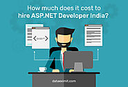 How Much Does It Cost to Hire ASP.NET Developer India?