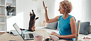 How Can You Stay Productive When Working from Home with Pets? - Action Insurance Group