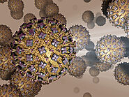 Why are viruses considered non-living?