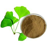 Ginkgo Biloba: The answer you’ve been searching for the whole time