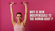 Why Is Iron Indispensable To The Human Body?