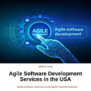 Agile Software Development Services in the USA