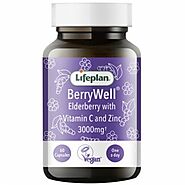 BerryWell Elderberry Supplement With Vitamin C And Zinc