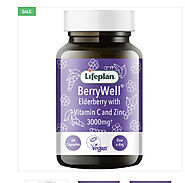 Prefer a Lifeplan Berrywell Elderberry Capsules to Better Your Health