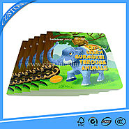 Children Board Book Printing---Wonderful Hole Book