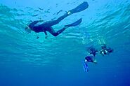 Jump into the Komodo Island Scuba Diving | Mastibids