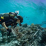 Knowing the Scuba Gear For Komodo Diving | Ohiobirthinjuries