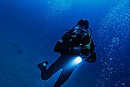 Raja Ampat Diving Liveaboard, Explore The Best Dive Sites