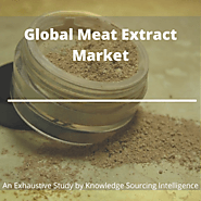 Segment Analysis on Global Meat Extract Market