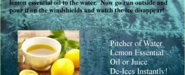 Winter De-Icing with Lemon Essential Oil | AlchemistsRoom