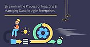 Streamline the Process of Ingesting and Managing Data for Agile Enterprises