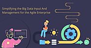 Simplifying the Big Data Input and Management for the Agile Enterprise