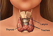 Thyroid Specialist Singapore | Thyroid Doctor Singapore