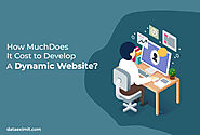 How Much Does It Cost to Develop A Dynamic Website?