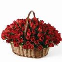 Flowers Delivery in Bangalore