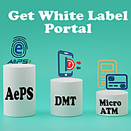 Get White Label AePS Portal