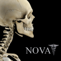 Skeletal Head & Neck Pro III By 3D4Medical.com, LLC