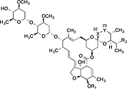 # 7 - Ivermectin