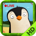 Pocket Zoo HD ™ with Live Animal Cams By Tiny Hearts Limited