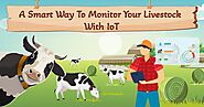 New Method For Livestock Management with IoT Technology