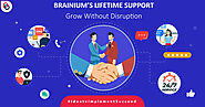 Brainium’s Lifetime Support: Grow without Disruption