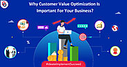 Why Customer Value Optimization Is Important For Your Business?