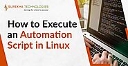 Execute Automation Script on Linux