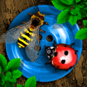 Bugs and Buttons By Little Bit Studio, LLC.