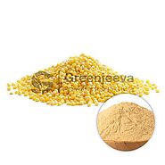 USDA Approved Bulk Millet Extract Powder Supplier USA