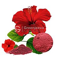 Bulk Organic Hibiscus Powder Supplier | Organic Hibiscus Powder Supplier