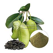 Bulk Griffonia Seed Extract Powder | Griffonia Seed Extract Powder Supplier