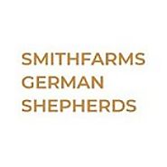 Why German Shepherds Make Great Pets?
