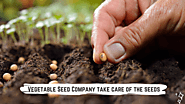 How to grow good quality vegetables?