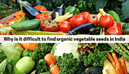 A look at the growing demand for organic vegetable seeds