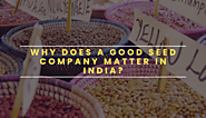 What to look for in a good seed in India?