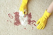 Best Carpet Stain Removal in Adelaide