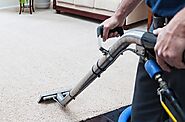 Best Carpet Steam Cleaning Adelaide