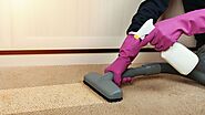 Best Carpet Pet Removal in Perth
