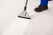 Professional Carpet Cleaning Services Near Me
