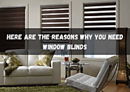 Here are the reasons why you need window blinds