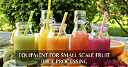 What is the capacity of small-scale fruit juice processing equipment?