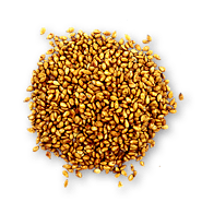 Toasted Tex-Mex Sesame Seeds