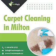 Get Your Carpet Clean in No Time