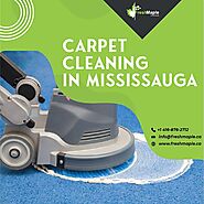 Have your Carpets Cleaned Thoroughly by Carpet Cleaning in Mississauga