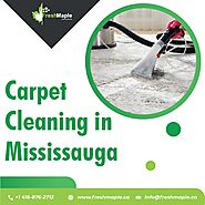 Hire Reliable Services for Carpet Cleaning in Mississauga Now!
