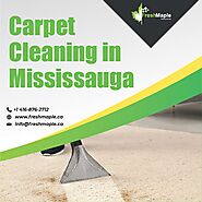 Hire the Cost-Effective Services for Carpet Cleaning in Mississauga