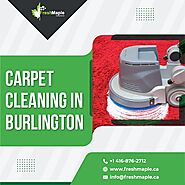Do you Want to Hire a Professional for Carpet Cleaning in Burlington? Contact Fresh Maple!