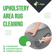The best upholstery and area rug cleaning services