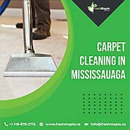 Carpet cleaning in Mississauga services at its best