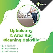 Get your upholstery & area rug cleaning Oakville at your place
